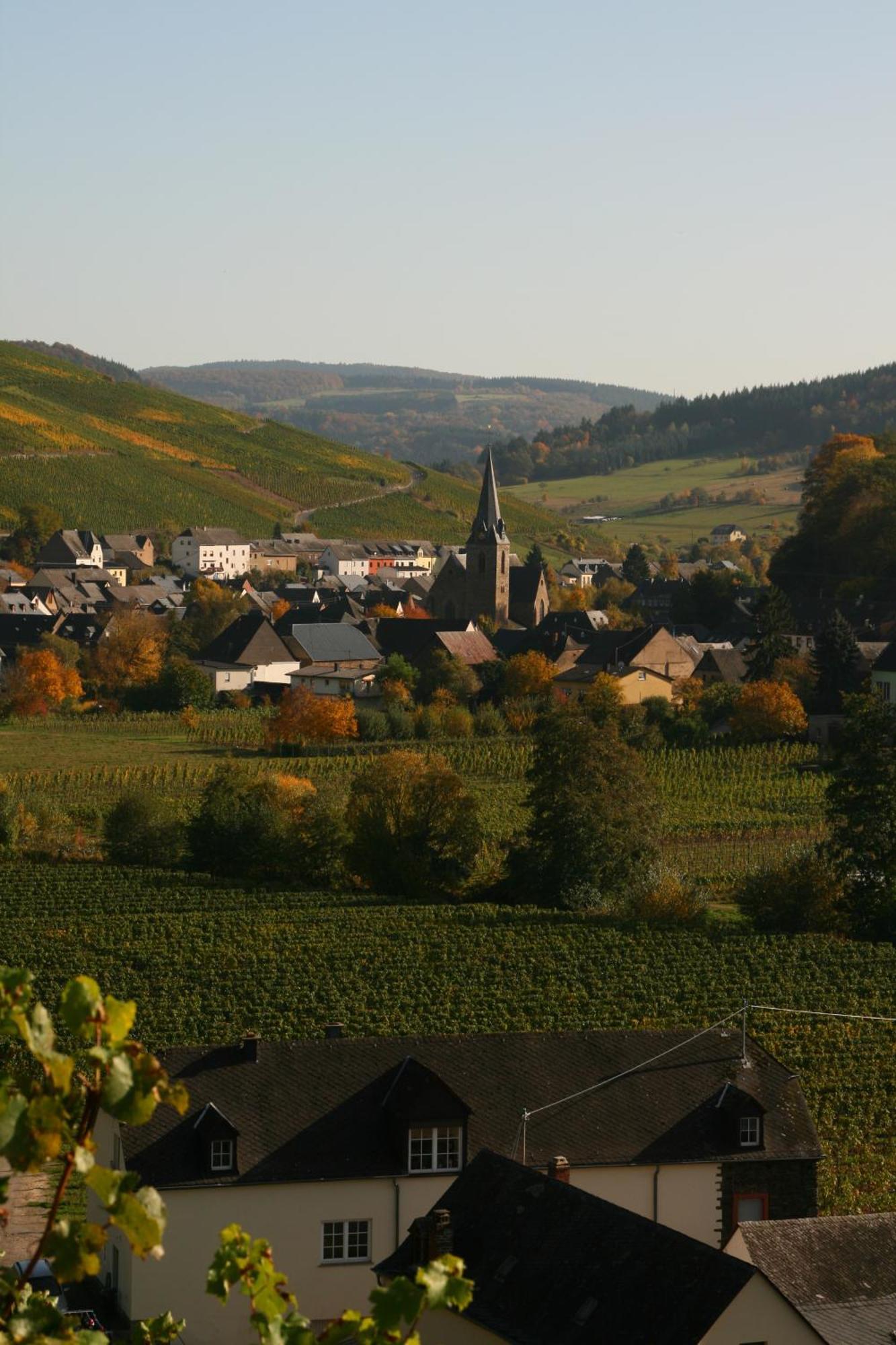 Weingut&Gästehaus Stephan Kohl Neumagen-Dhron Exterior foto